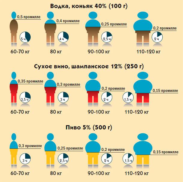 Нижегородский пилотный проект по выявлению нетрезвых водителей предложили распространить во всех регионах страны